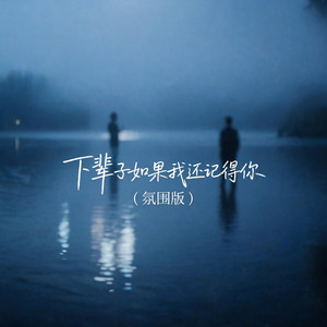 下辈子如果我还记得你(氛围版) by 杨墨染秋