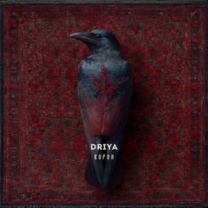 ворон by DRIYA