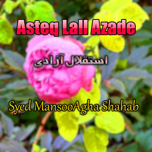 Syed MansooAgha Shahab - Hosan De Domrah