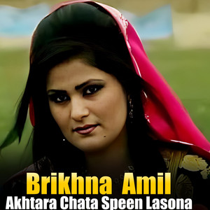 Brikhna Amil - Hamzolo Yar Me Musafar De