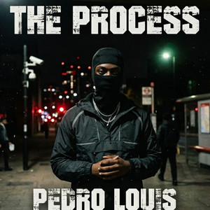 The Process by Pedro Louis