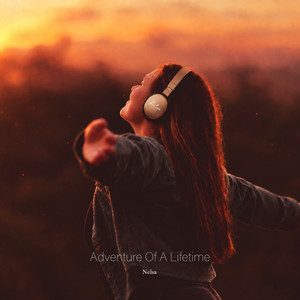 Adventure of a Lifetime by Nelsa