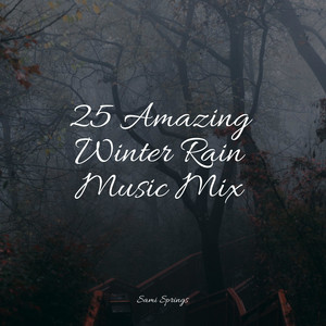 25 Amazing Winter Rain Music Mix album