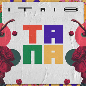 ITRIS - Tana