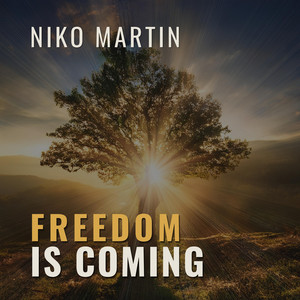 Freedom Is Coming by Niko Martin