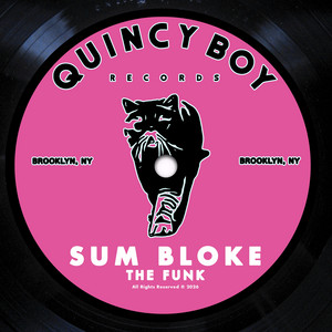 The Funk - Radio Edit by Sum Bloke