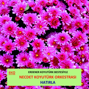 Necdet Koyutürk Orkestrası | Spotify