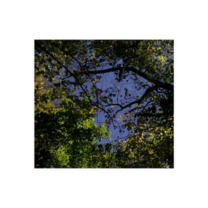 your shadow in my room by confession