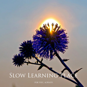 Slow Learning Place by For You, Always