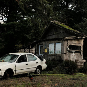 Talg0 - do you still have to fall in love?