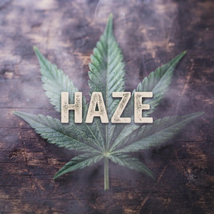 Haze by SteeleDaBest