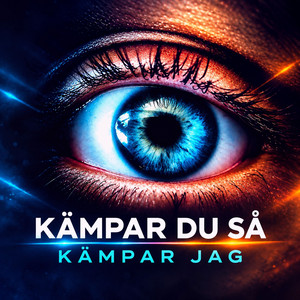 Kämpar Du Så Kämpar Jag - Radio Edit by Tim Damerau