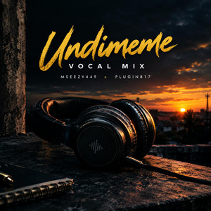 Undimeme(vocalmix) - Special Version by Mseezy449, Plugin817