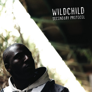Secondary Protocol cover