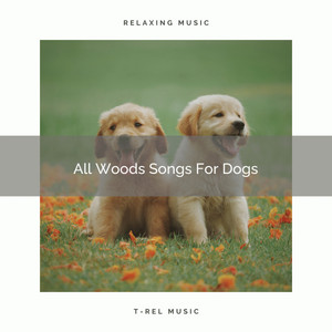 All Woods Songs For Dogs album
