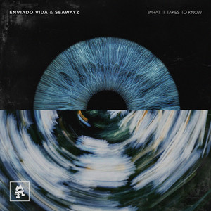 What It Takes To Know by Enviado Vida, Seawayz
