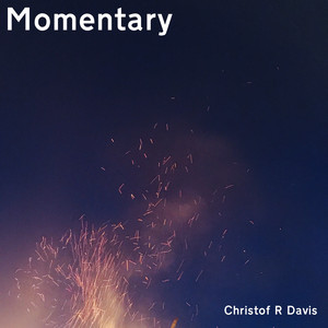 Momentary by Christof R Davis