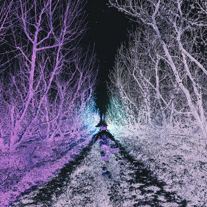 TRANSIENT LOVE by Modern Tiger