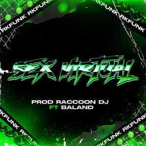 Raccoon dj - Sex Virtual RkFunk