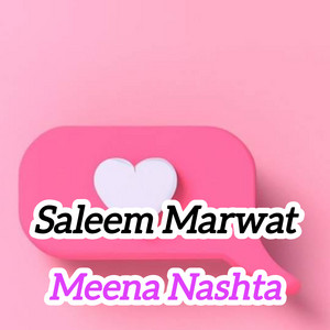 Saleem Marwat - Meena Nashta