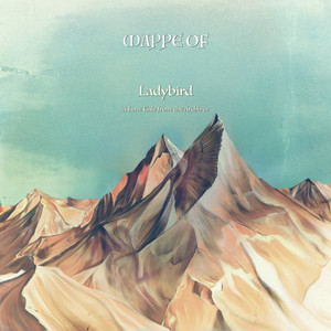 Ladybird by Mappe Of