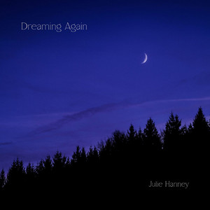 Dreaming Again by Julie Hanney
