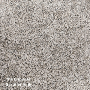 the Universe by Gartiner funk