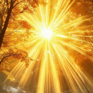 Sunshine