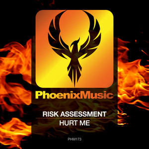 Hurt Me - Original Mix by Risk Assessment