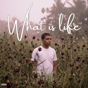 What Is Life by Perry Yung