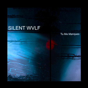 DARKER SOONER by Silent WVLF