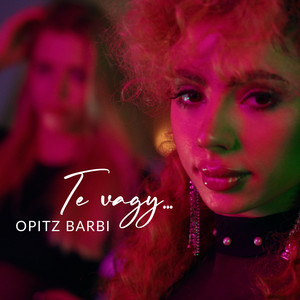 Opitz Barbi - Te vagy...