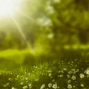One With The Elements by Spa Music Relaxation