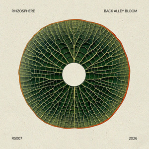 Back Alley Bloom by Rhizosphere