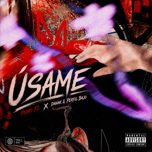 USAME by Pedro FC, Danak, Perfil bajo