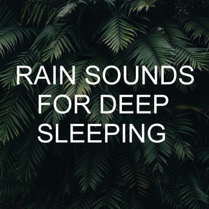 Rain Sounds for Deep Sleeping album