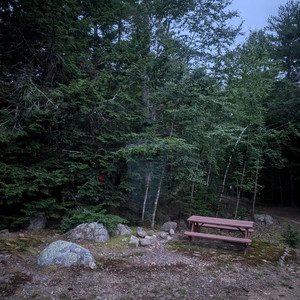 Waxing Gibbous - Waves