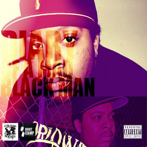 Diary of a Mad Black Man cover