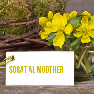 Sorat Al Modther by جمعان العصيمي
