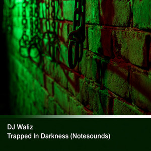 Trapped In Darkness (Notesounds) by DJ Waliz