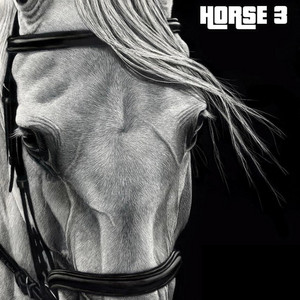 Gabe And The Gaylords - A Minor Mustard