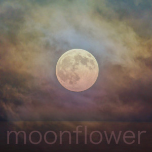 Selene - Noise by Moonflower