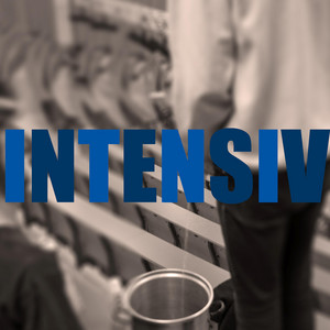 Intensiv (feat. Targus, Oskar Wild, Weed Thong & Ankerman)