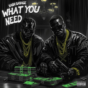 What You Need by Vash Savage