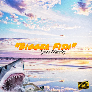 Portada de Bigger Fish