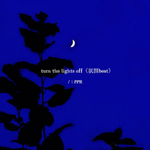 Turn the lights off - 氛围beat by PPR