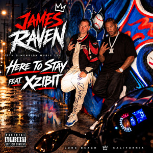 Here To Stay by James Raven, Xzibit