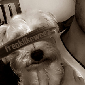 ceilings (freaklikeweez mix) by Weezus, jerrythakid