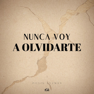Nunca Voy A Olvidarte by Pillin Guzmán