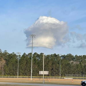 OSD Tenny - Letter To Her